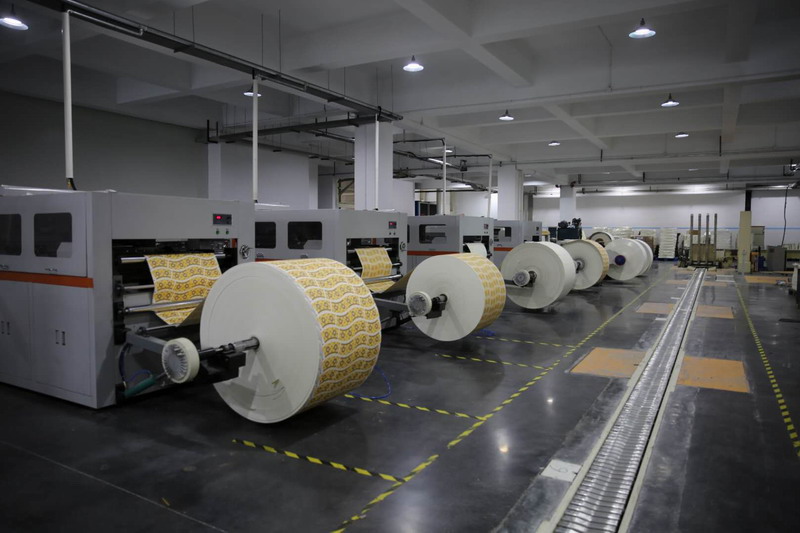 paper bowl factory (6)