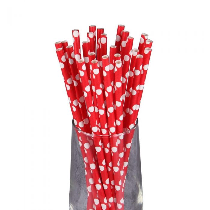 Reusable bamboo straw with logo - Image 6