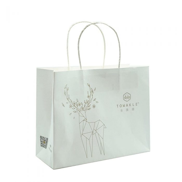 100g kraft paper bag