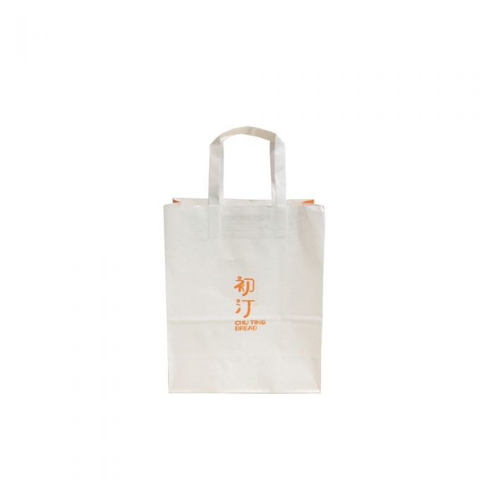 100g white kraft paper bag